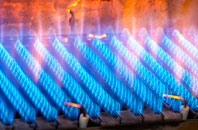 Folkton gas fired boilers